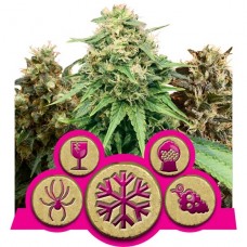 Feminized Mix - Royal Queen Seeds